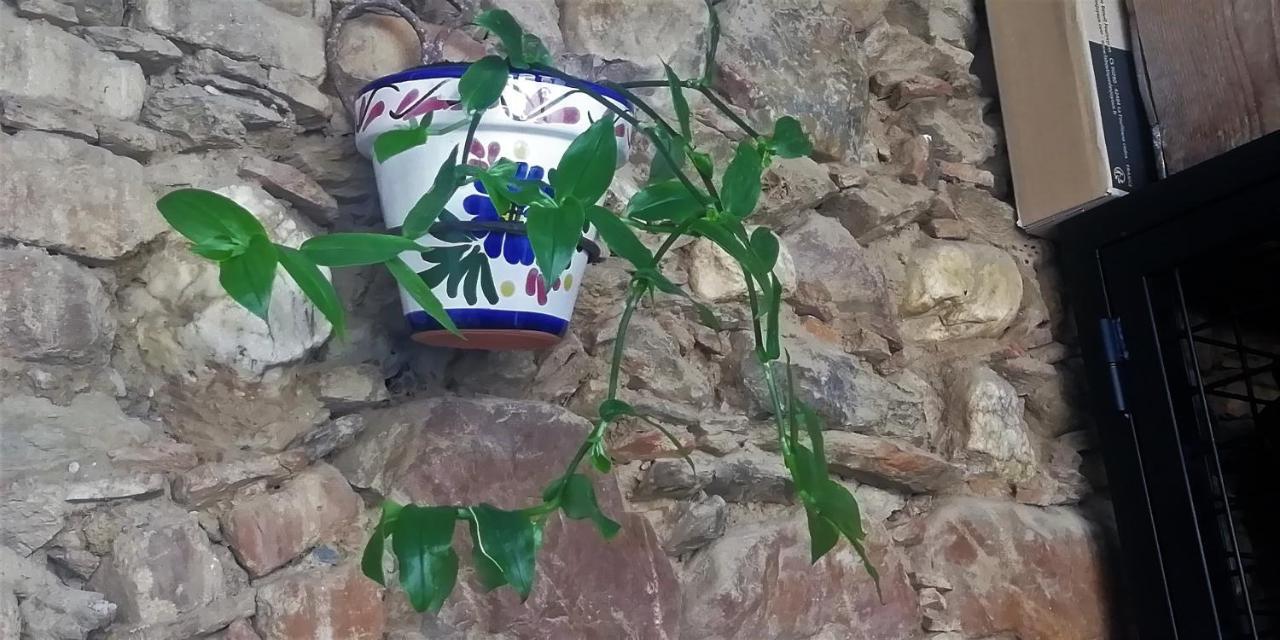 Casa Rural Abuela Maxi Ríolobos 외부 사진