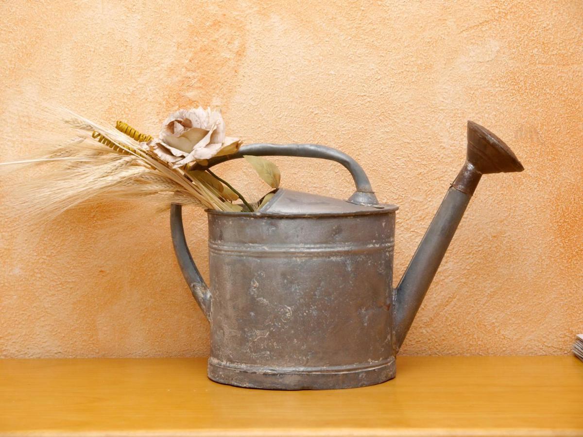 Casa Rural Abuela Maxi Ríolobos 외부 사진